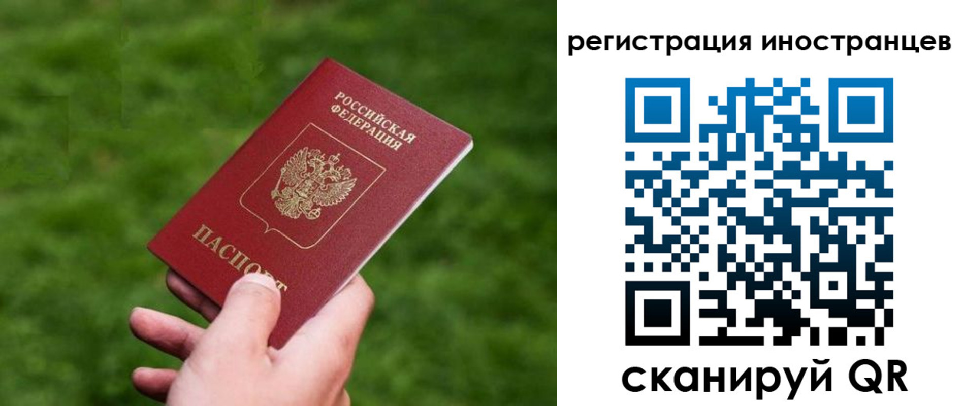 прописка ребенка в Твери